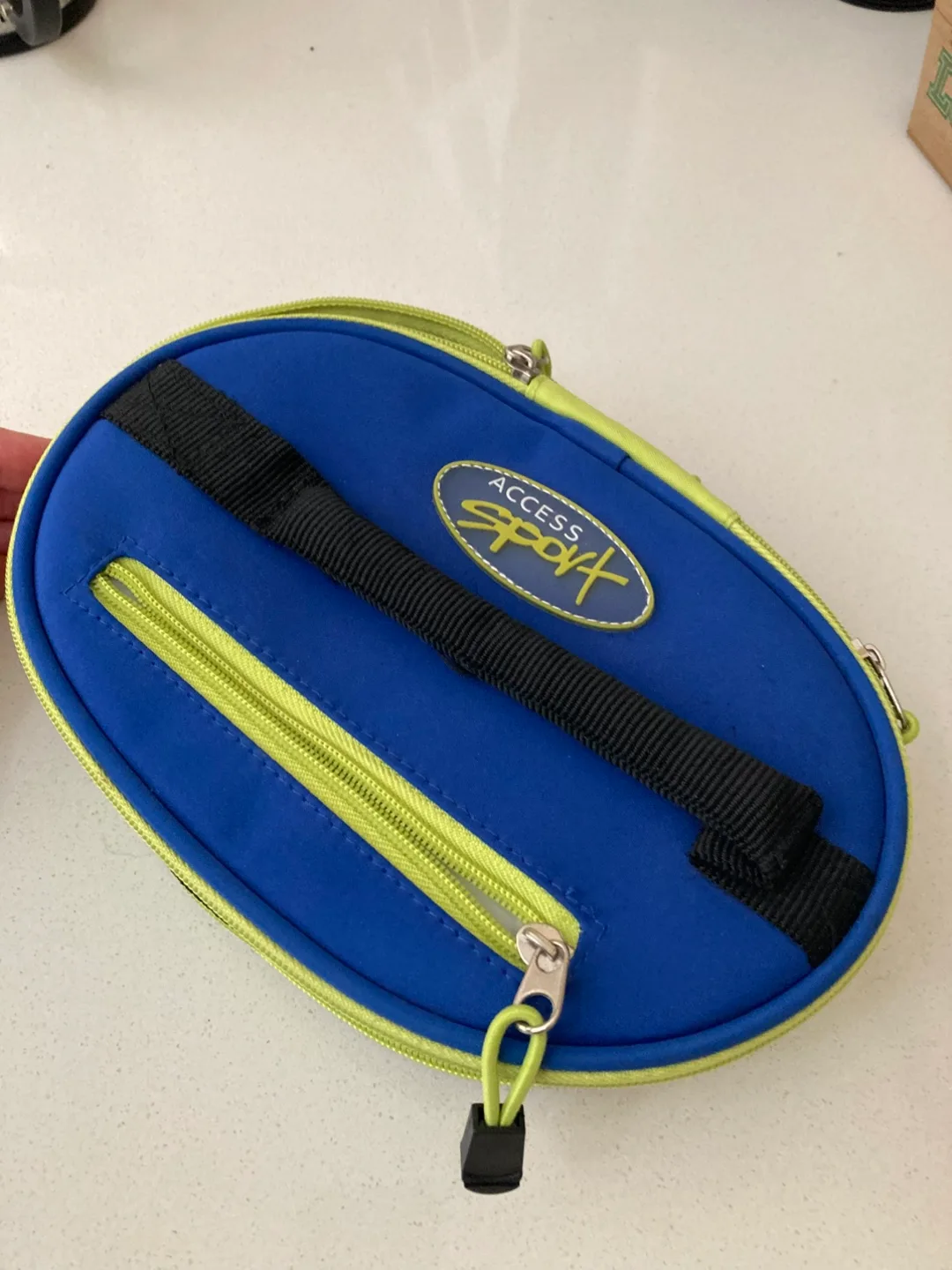 Lunch Bag—collapsible & insulated. image indicator(6)