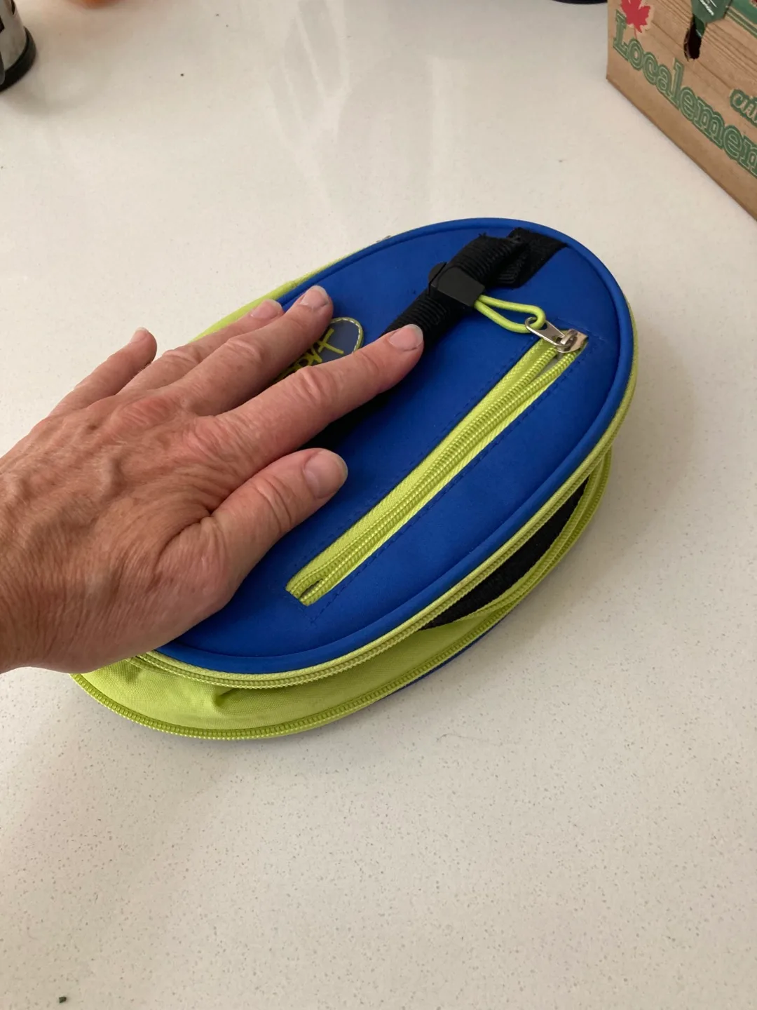 Lunch Bag—collapsible & insulated. image indicator(5)