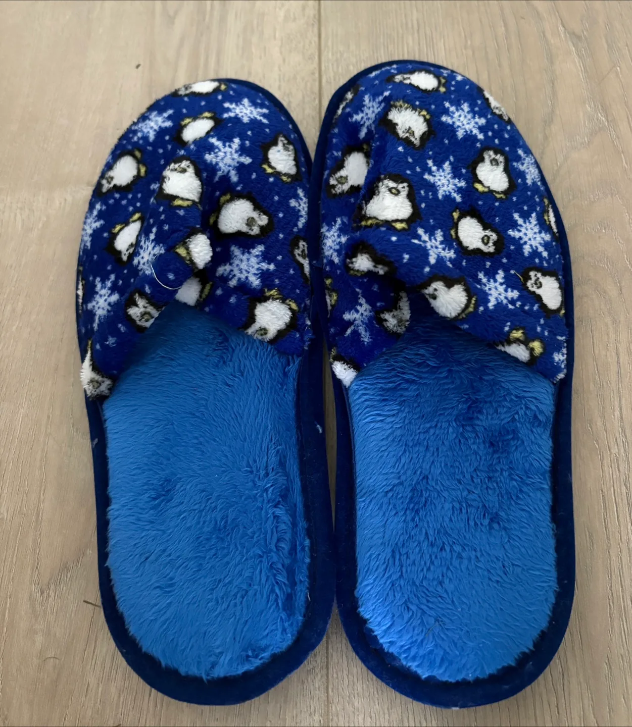 Blue Penguin Slippers - Size 39 image indicator(3)