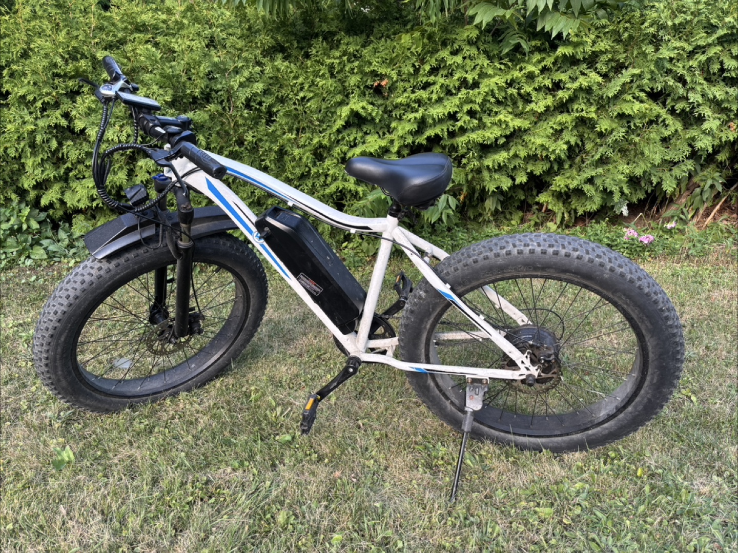 Fat tyre electric bike