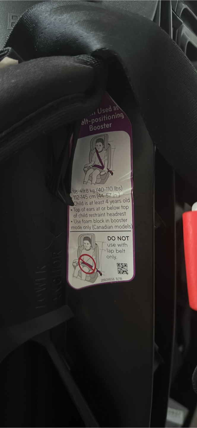 Evenflo Maestro Sport Car Seat - photo 3