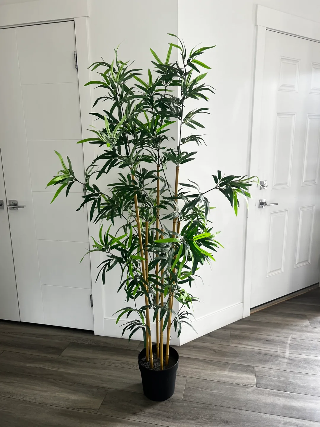 Artificial Bamboo Tree in Pot thumbnail