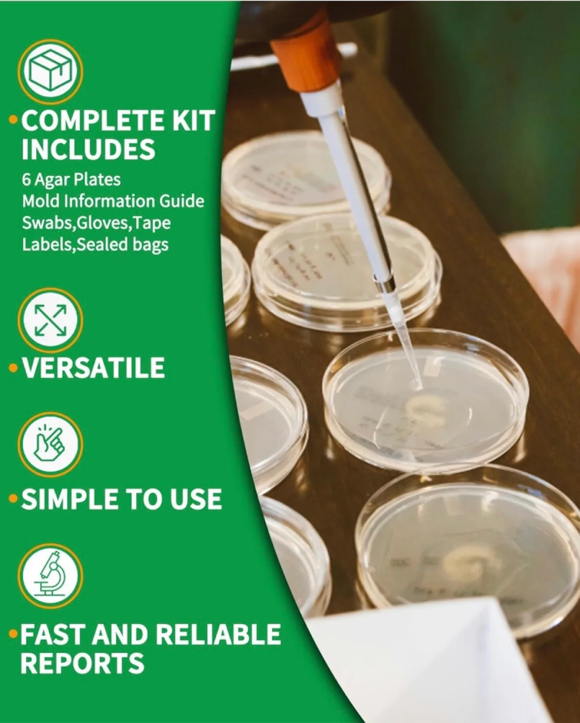 DIY Mold Test Kit image indicator(5)