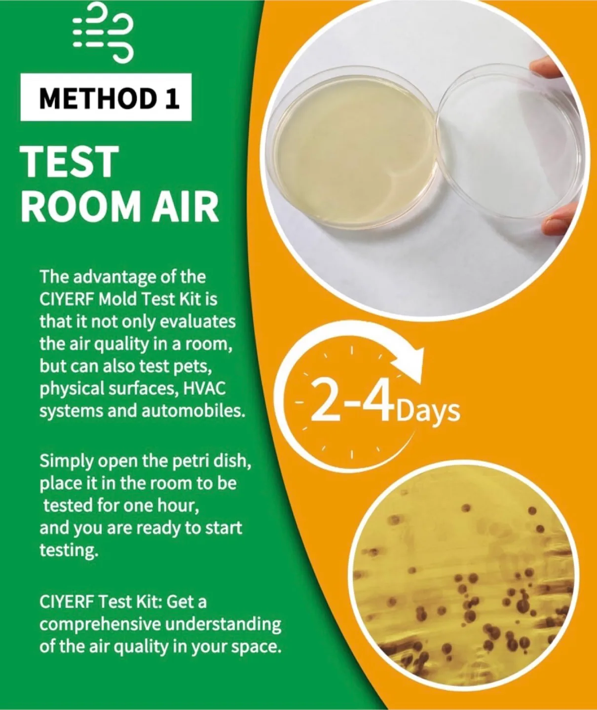 DIY Mold Test Kit image indicator(2)