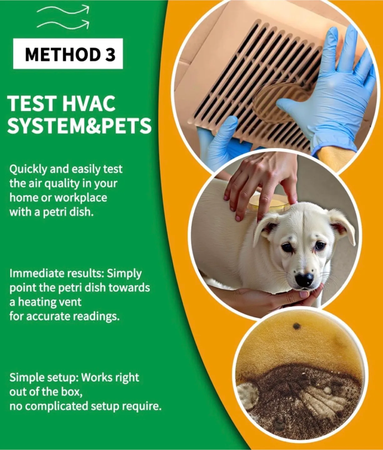 DIY Mold Test Kit image indicator(4)