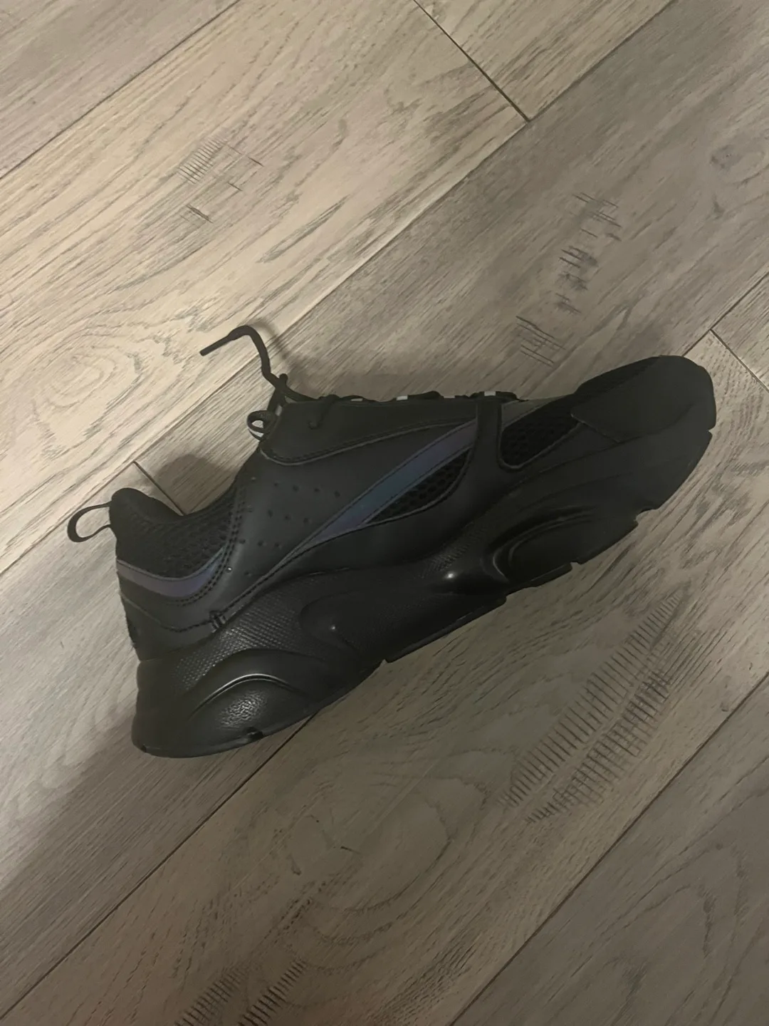 Dior B22 image indicator(4)