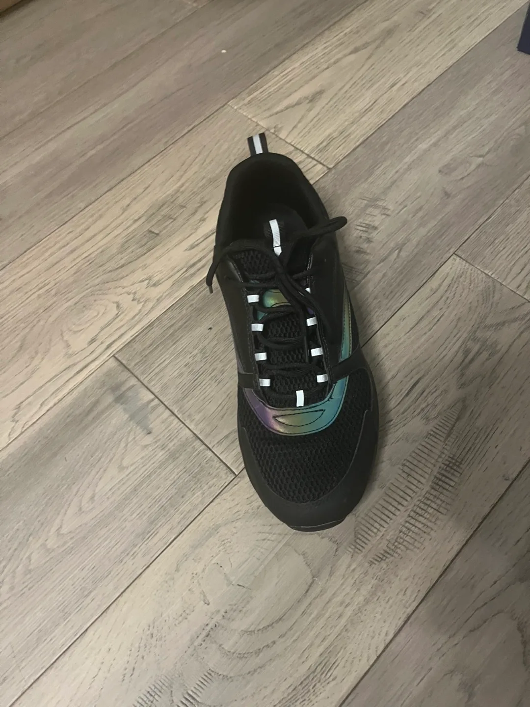 Dior B22 image indicator(5)