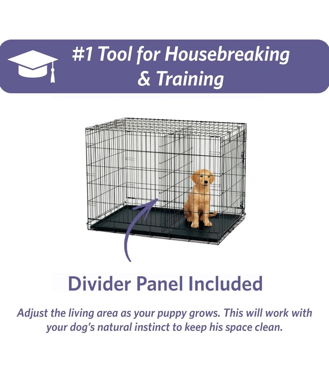 Large Dog Crate - 42" x 28" x 30" image indicator(3)