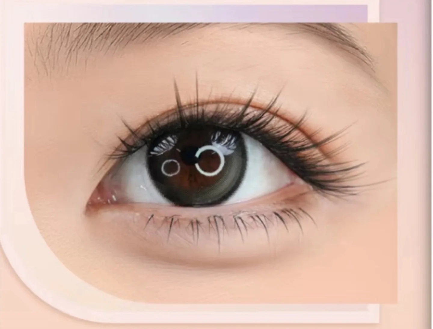 Nyewhite One-Step False Eyelashes image indicator(2)
