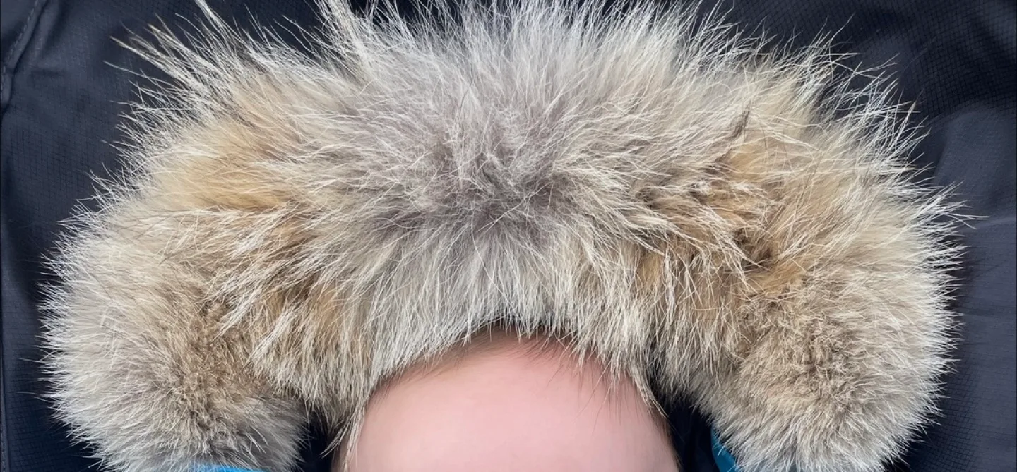 Authentic Canada Goose Bunny Bunting Snowsuit image indicator(2)