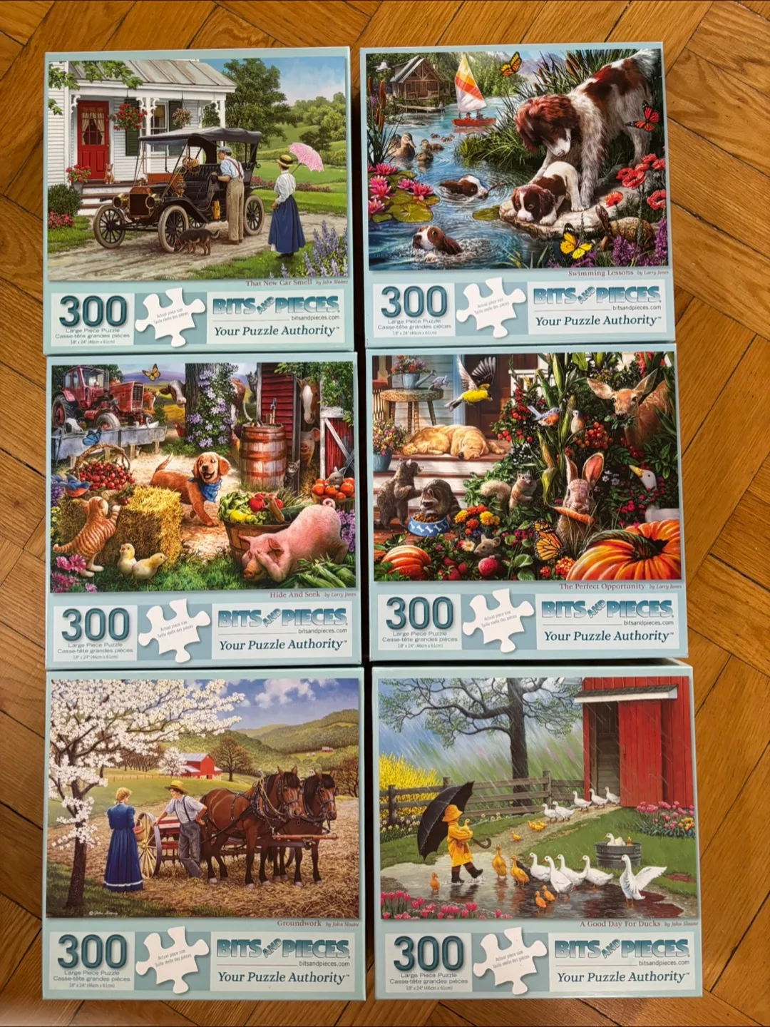 300 large piece puzzles thumbnail