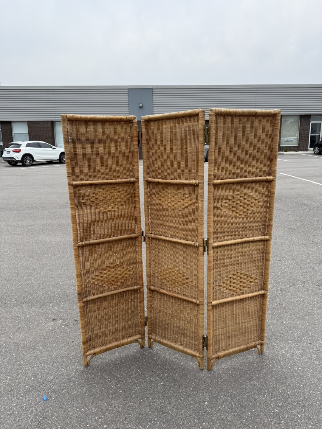 Bamboo 3 fold divider