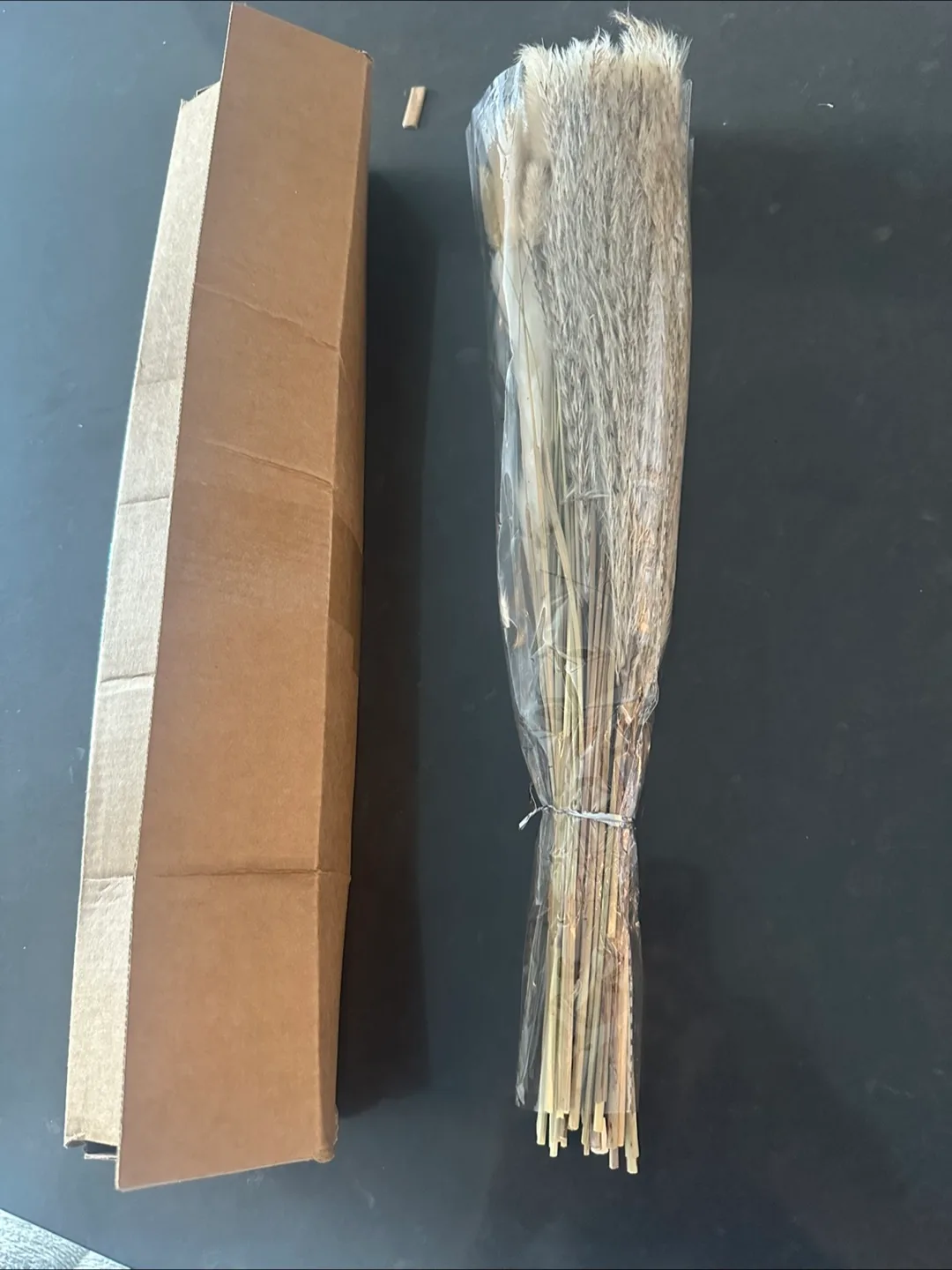 Pampas Grass Decor - 17 inch image indicator(5)