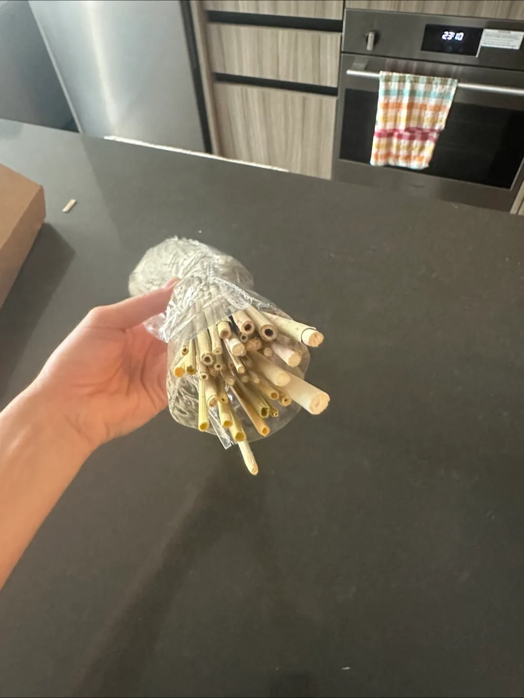 Pampas Grass Decor - 17 inch image indicator(2)