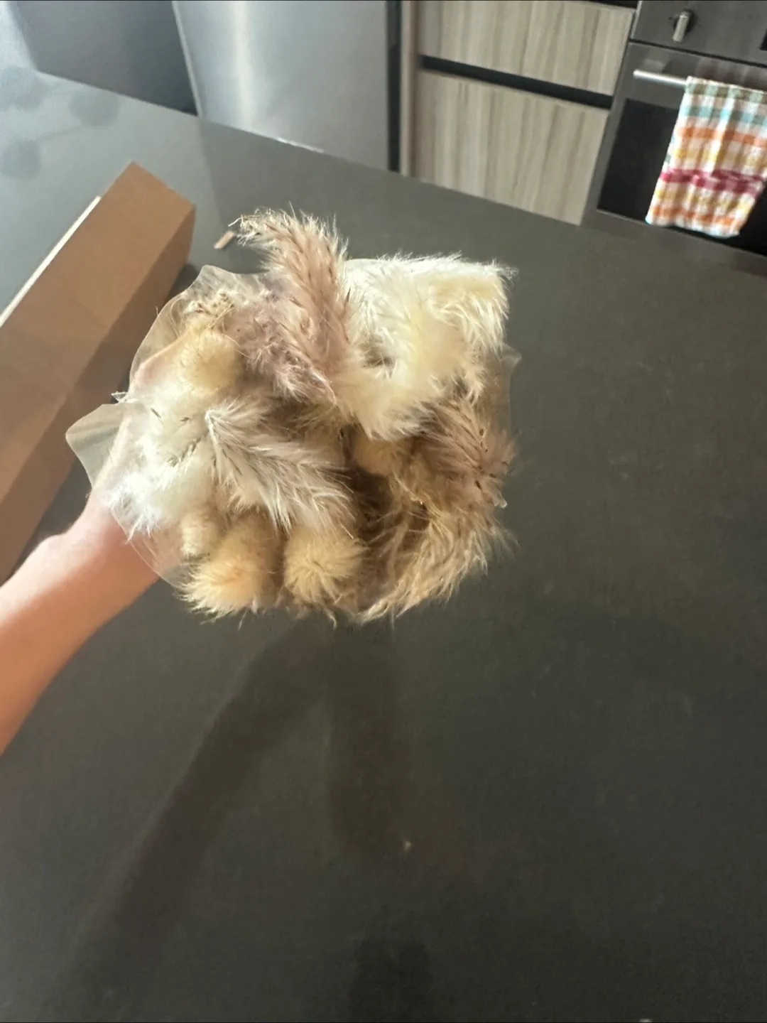 Pampas Grass Decor - 17 inch image indicator(3)