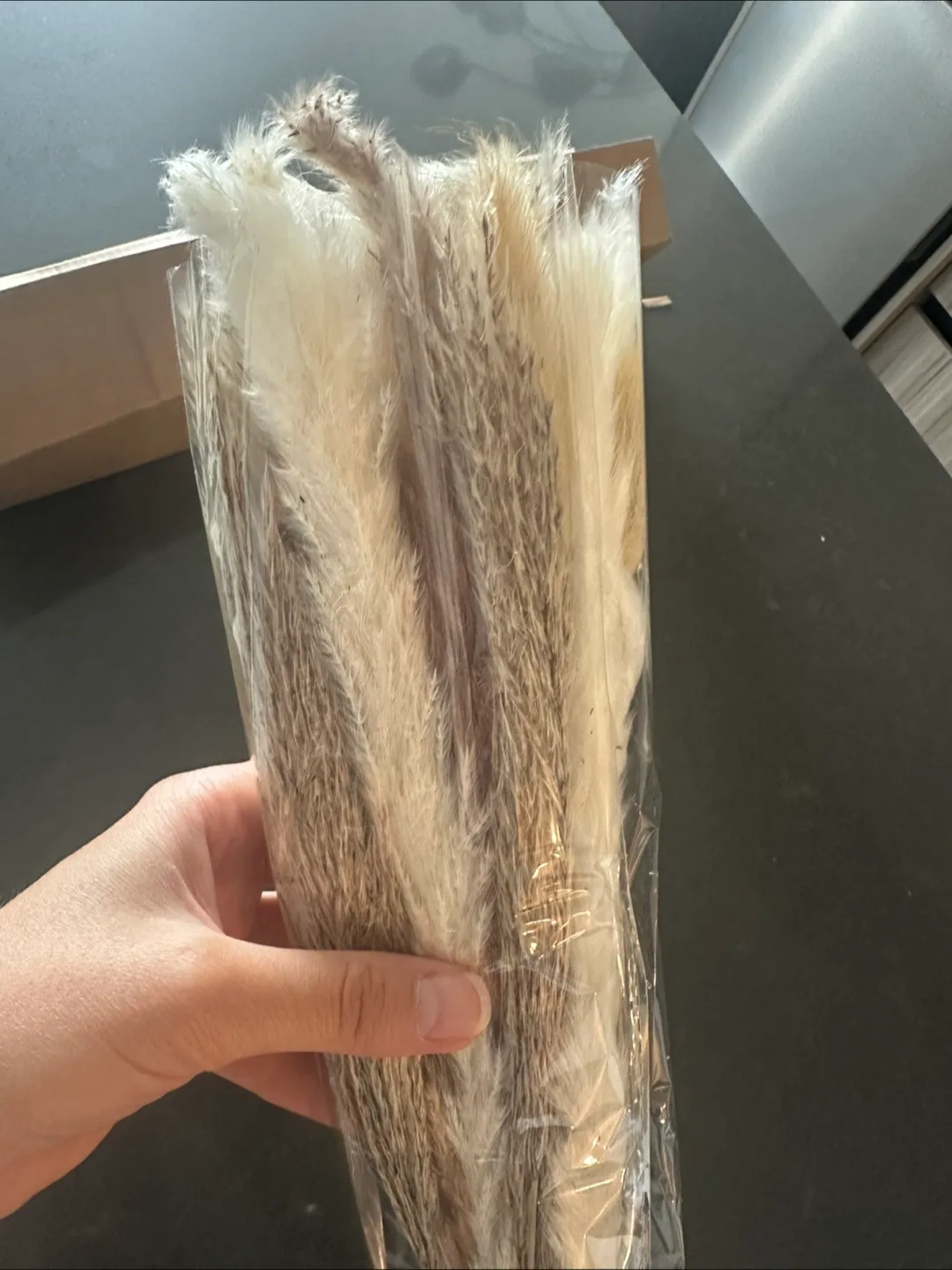 Pampas Grass Decor - 17 inch thumbnail