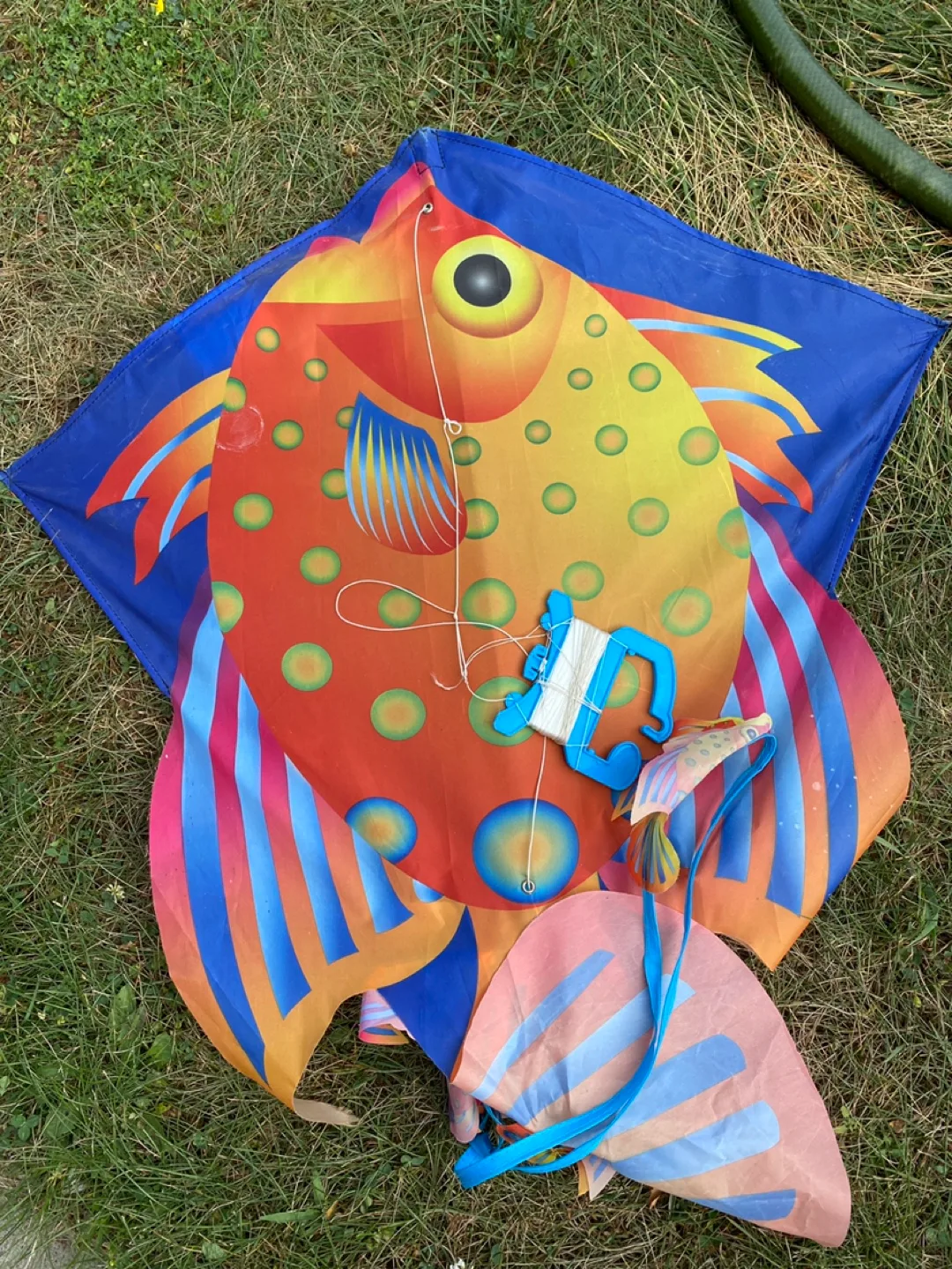Kids Kite thumbnail