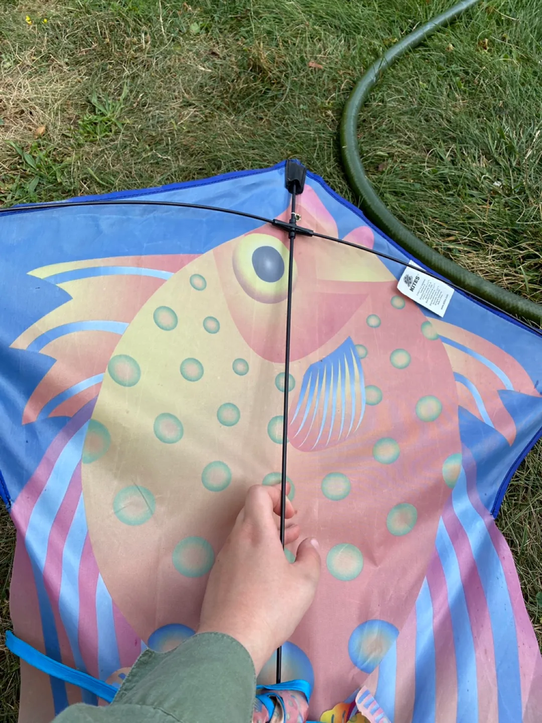 Kids Kite image indicator(2)