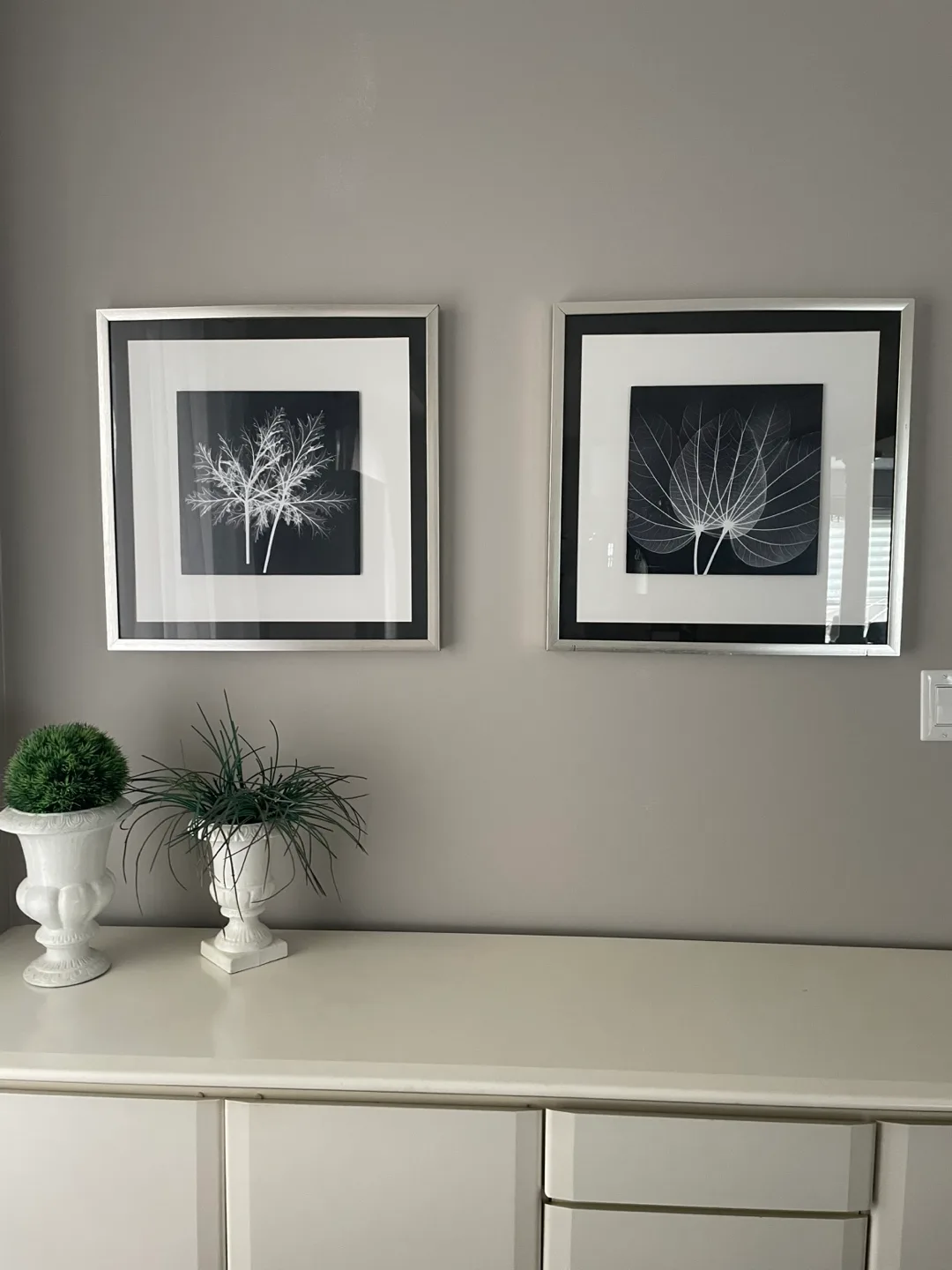 Framed Botanical Prints - Set of 2 thumbnail