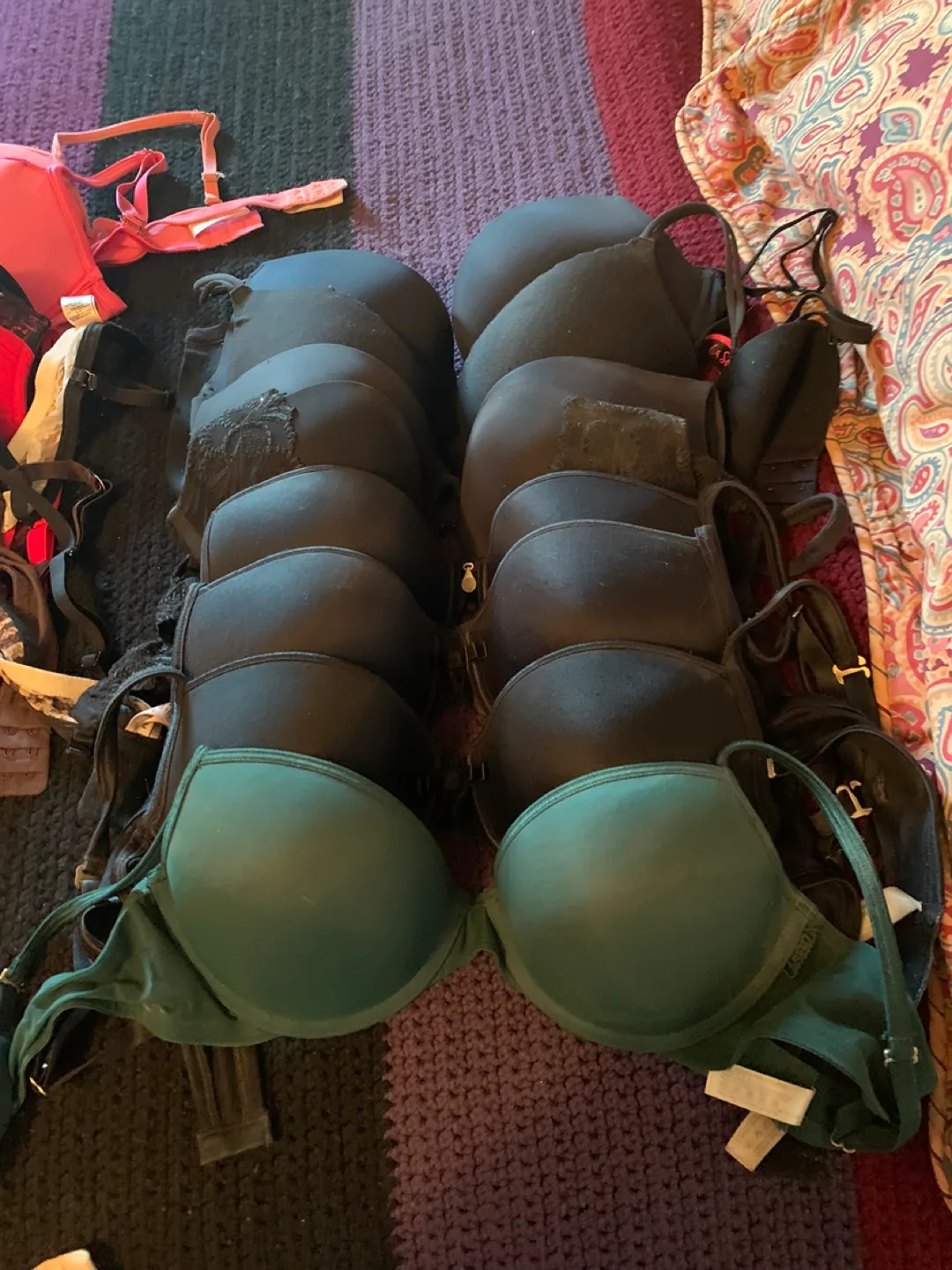 LaSenza Bras image indicator(3)