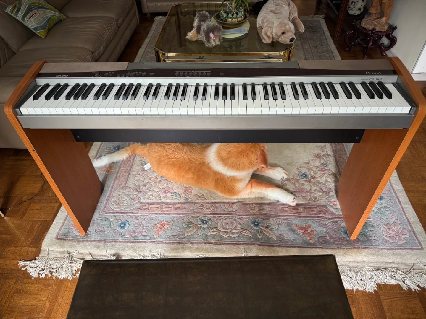 Casio Privia PX-100 Digital Piano thumbnail