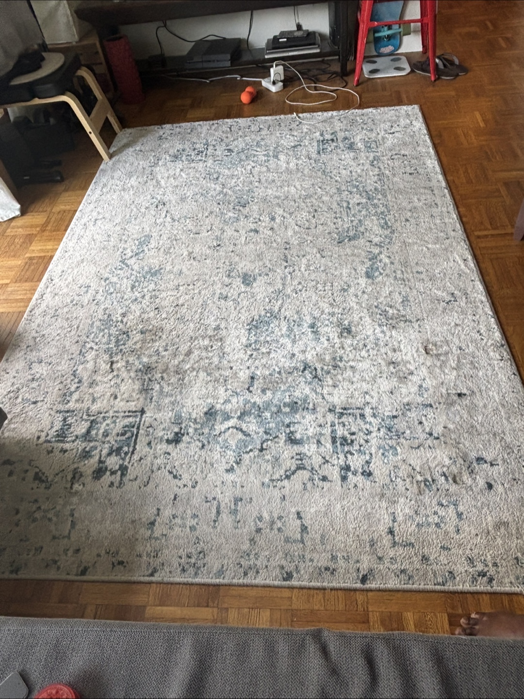 Area Rug - Blue and Beige