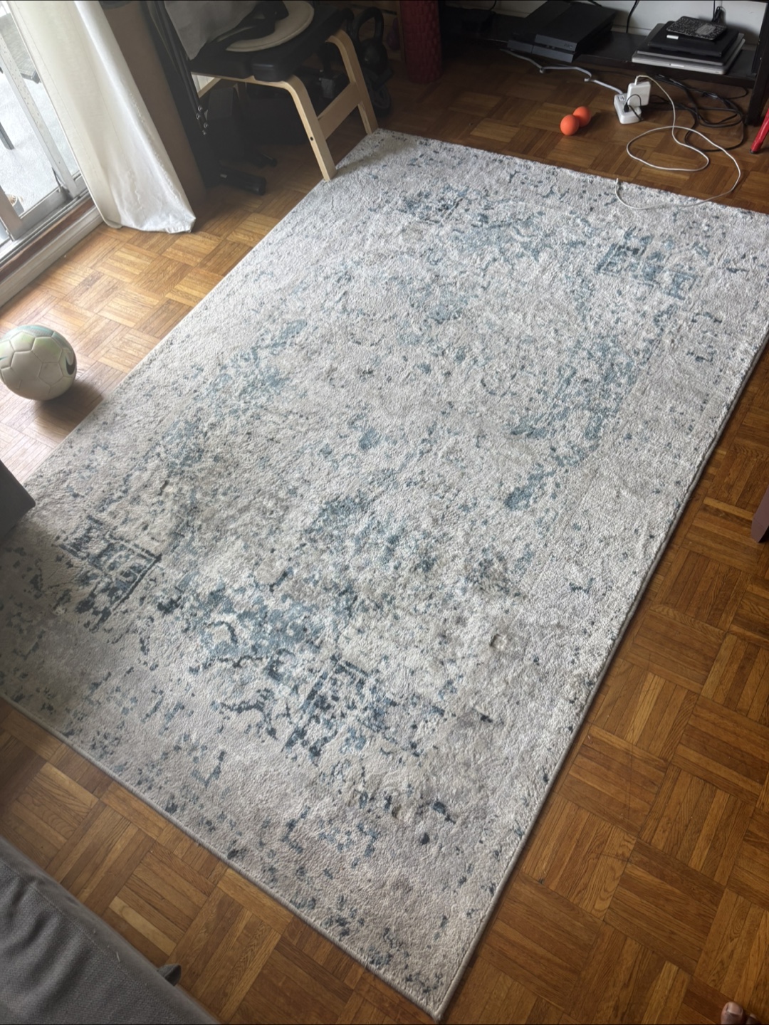Area Rug - Blue and Beige - photo 2