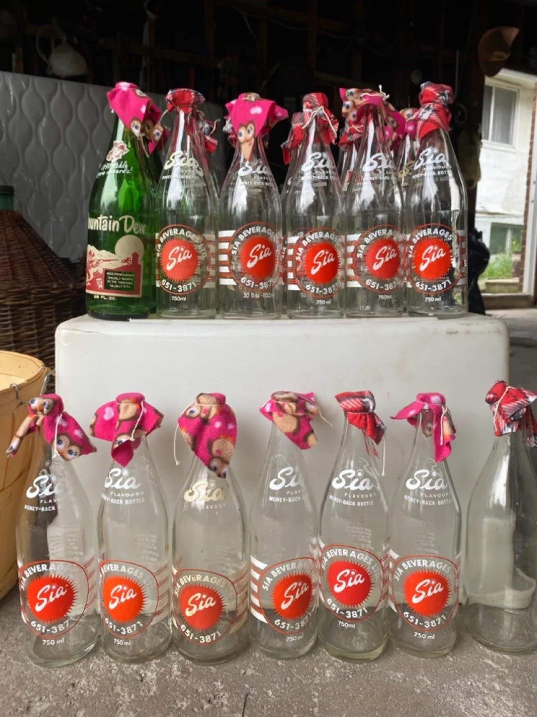 Vintage Sia and other Beverage Bottles image indicator(2)