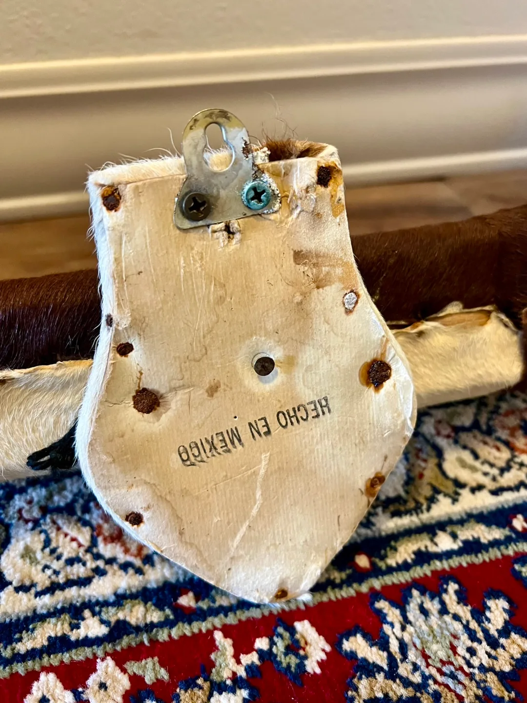 Texas Longhorn Steer Horns with Hide image indicator(6)