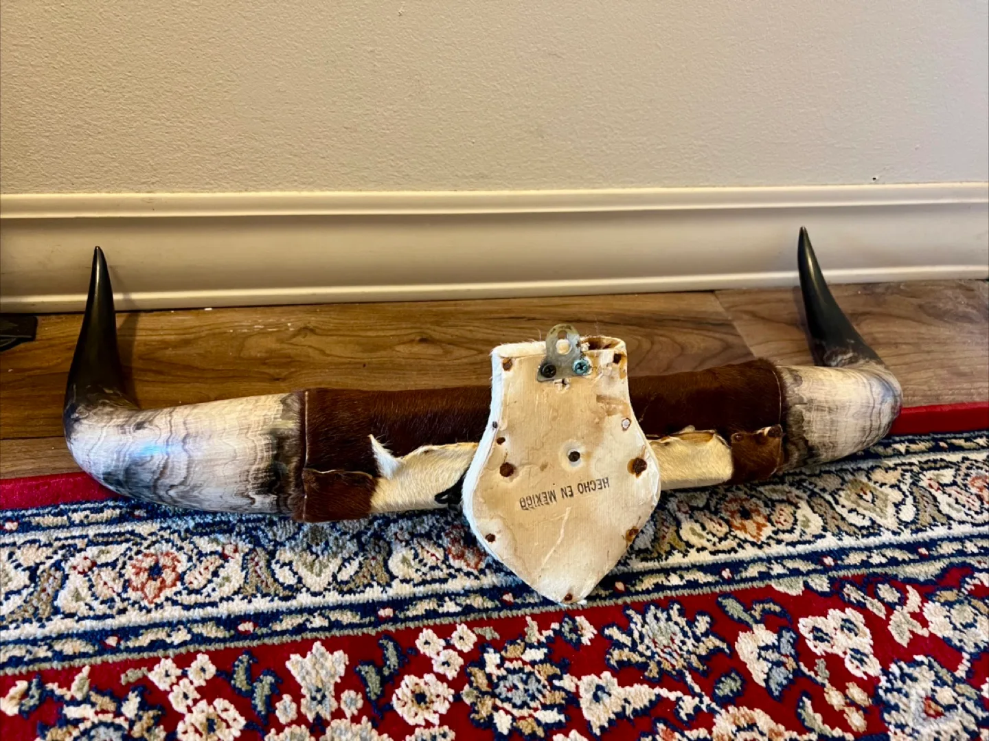 Texas Longhorn Steer Horns with Hide image indicator(5)