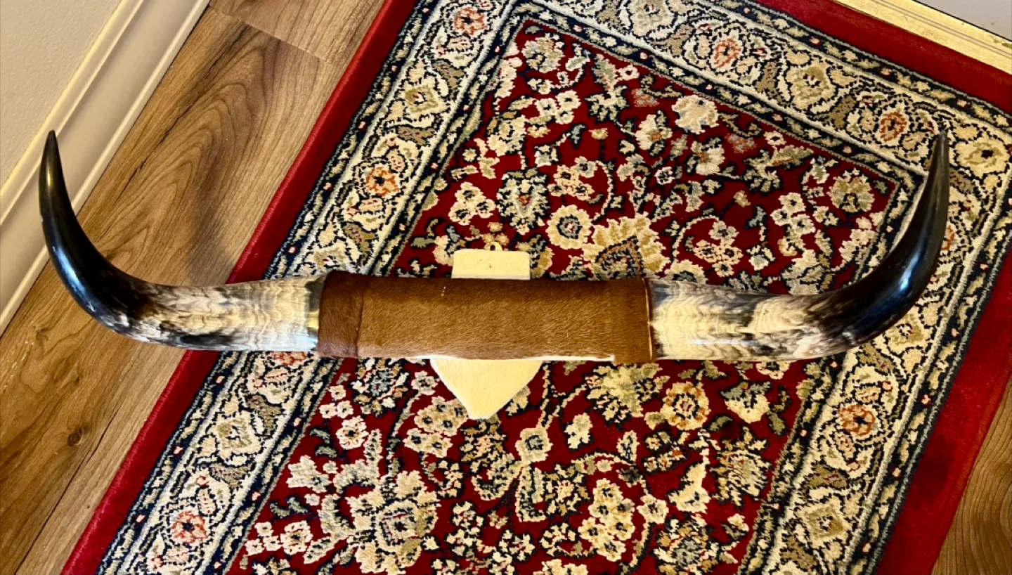 Texas Longhorn Steer Horns with Hide image indicator(9)