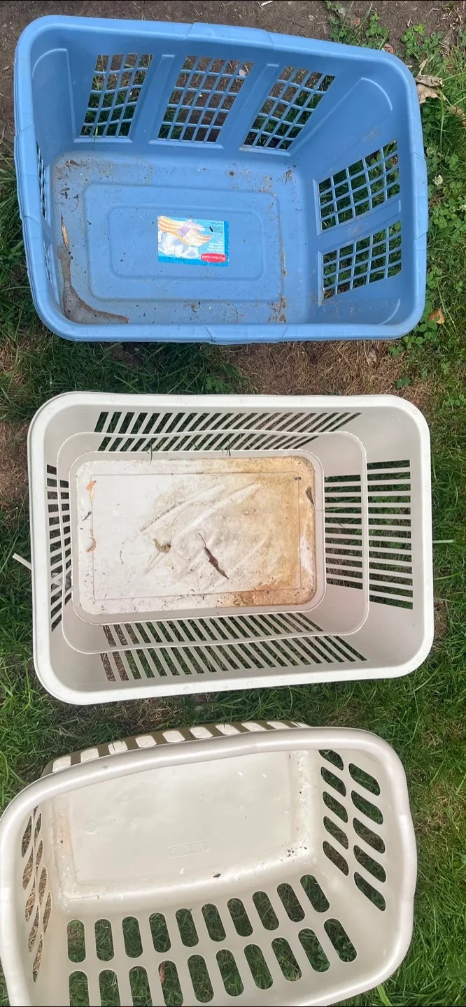 Laundry Baskets thumbnail