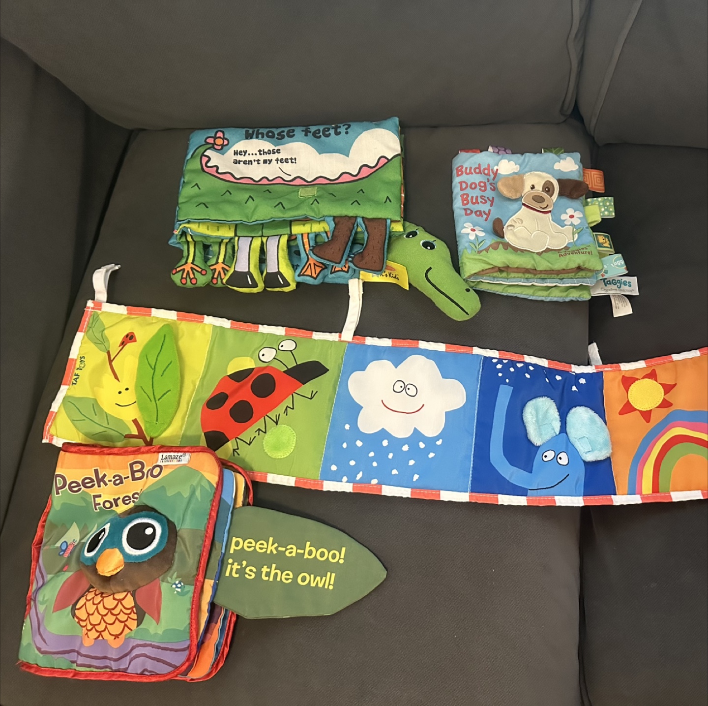 Lamaze Peek-a-Boo Forest Book & Taggies Buddy Dog Book