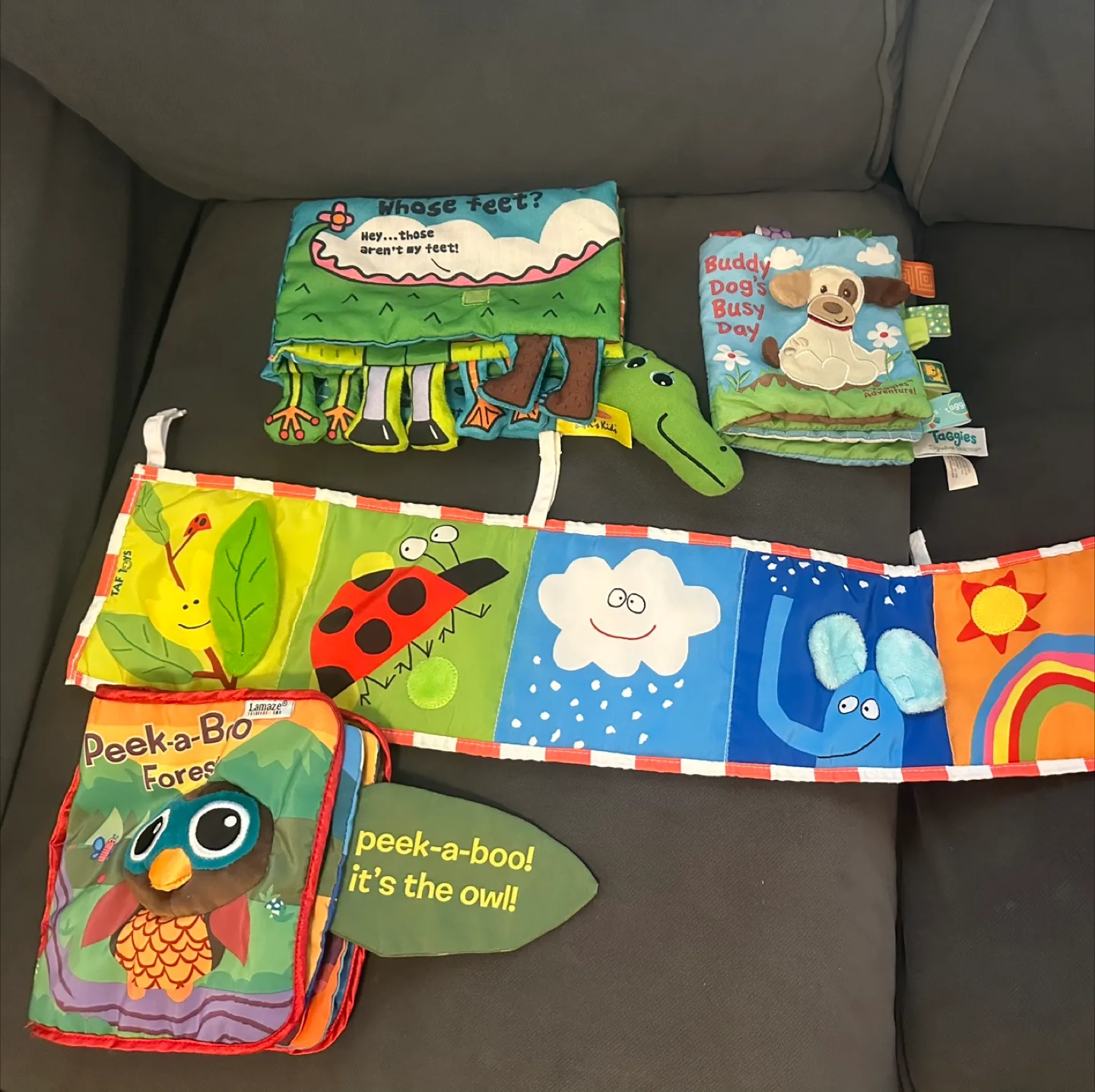 Lamaze Peek-a-Boo Forest Book & Taggies Buddy Dog Book thumbnail