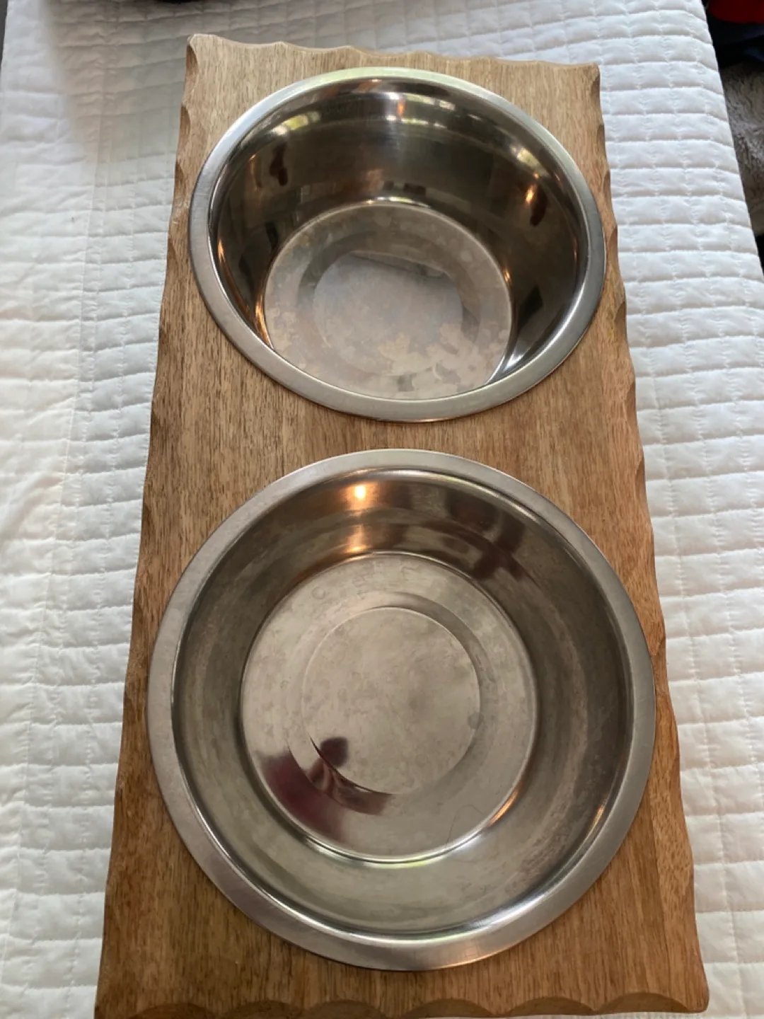 Elevated Double Dog Bowl thumbnail
