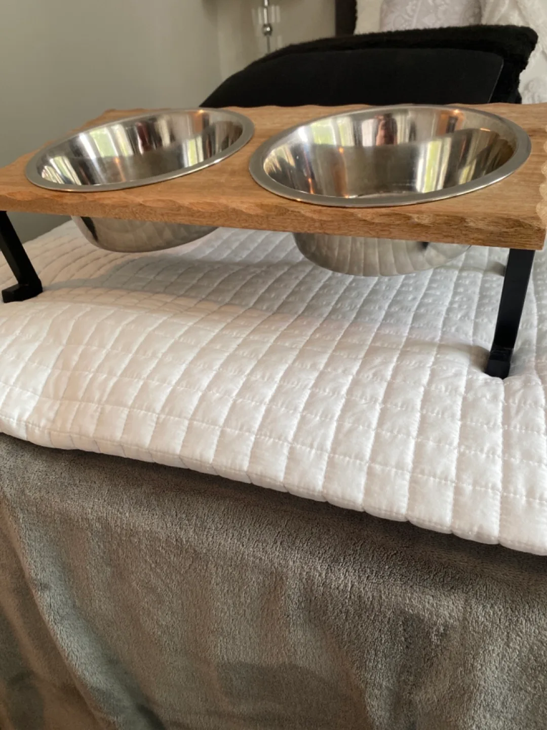 Elevated Double Dog Bowl image indicator(2)