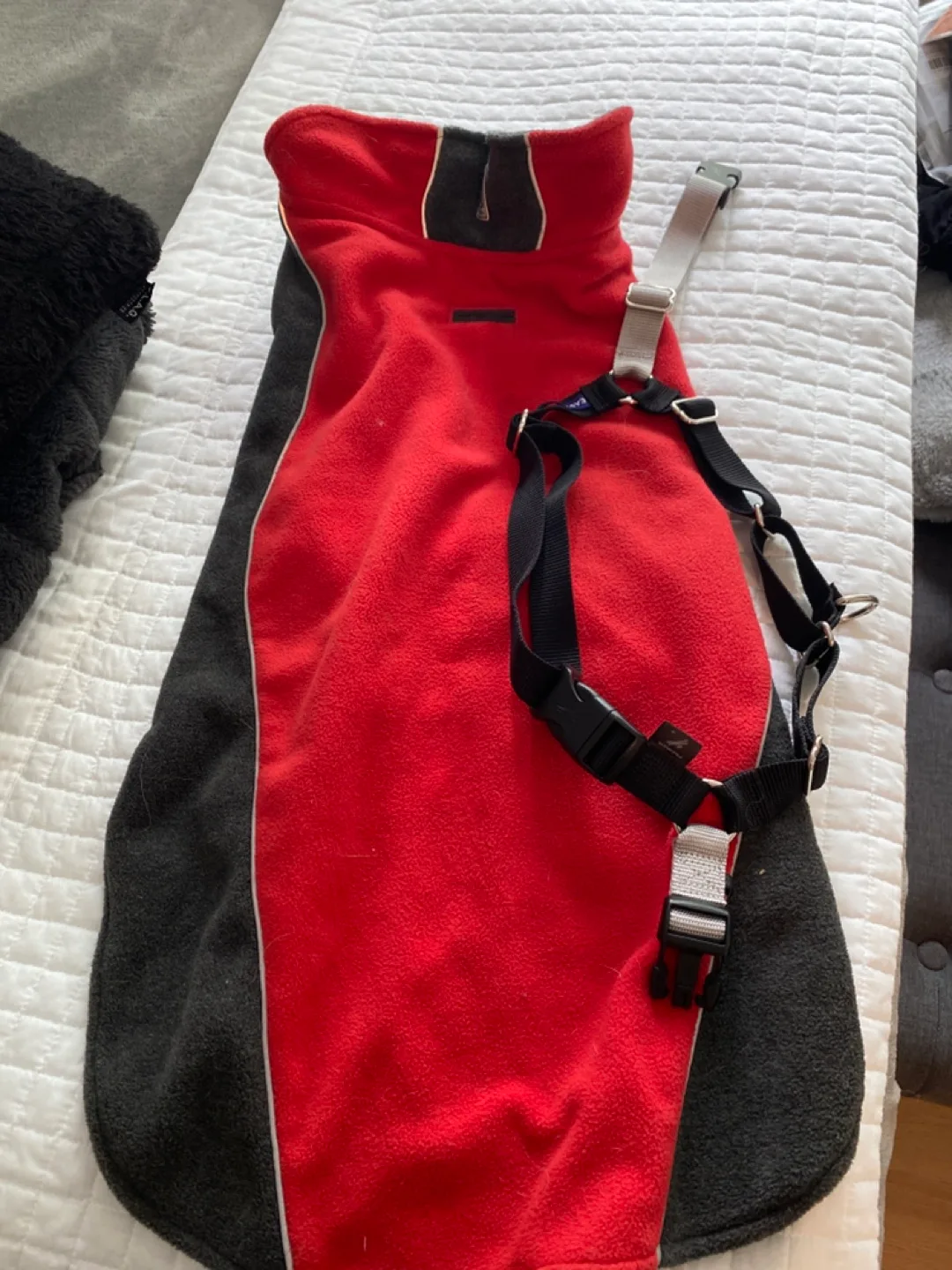 RC Pets Dog Coat & Easy Walk Harness thumbnail