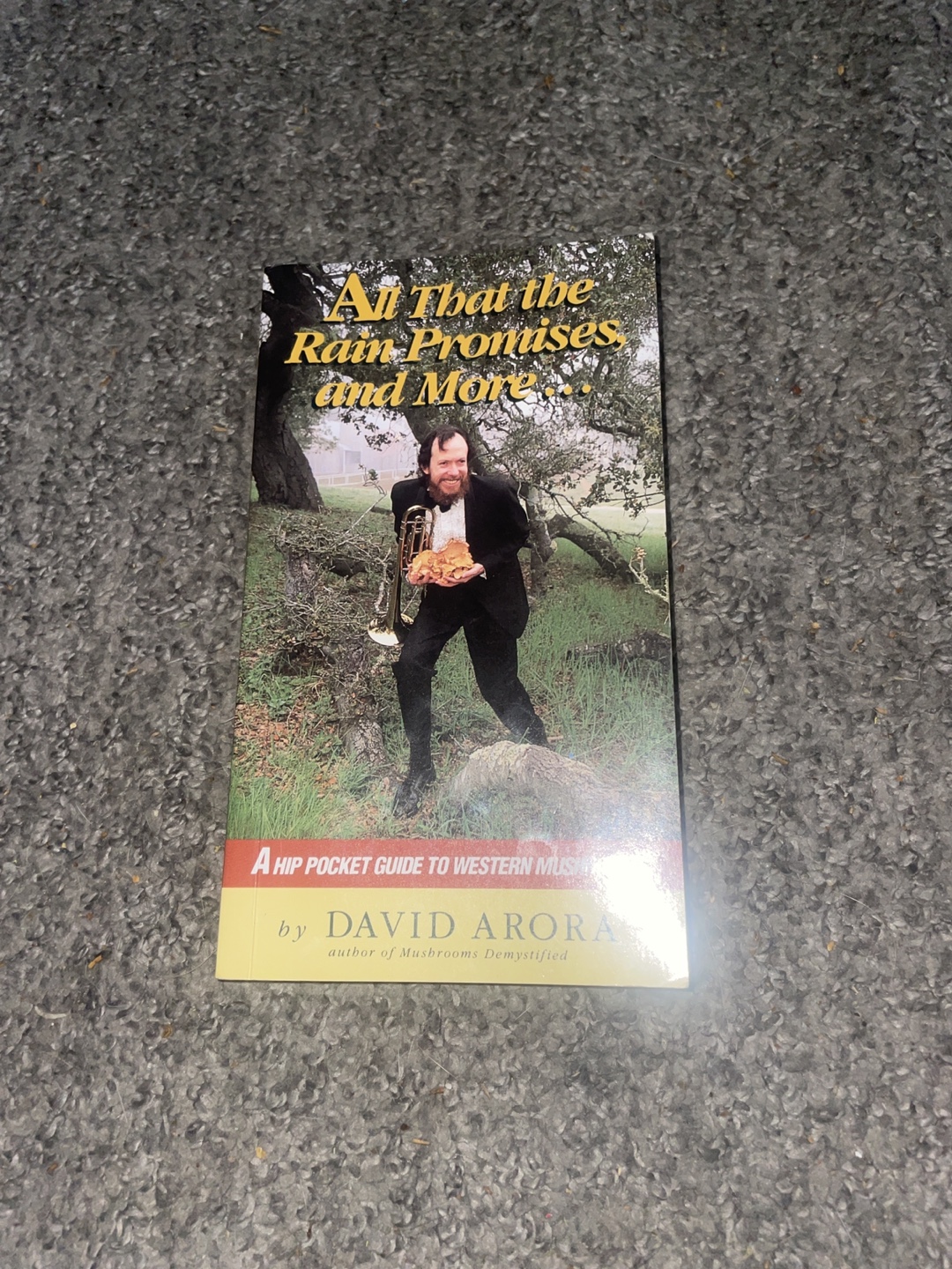 All That the Rain Promises and More by David Arora