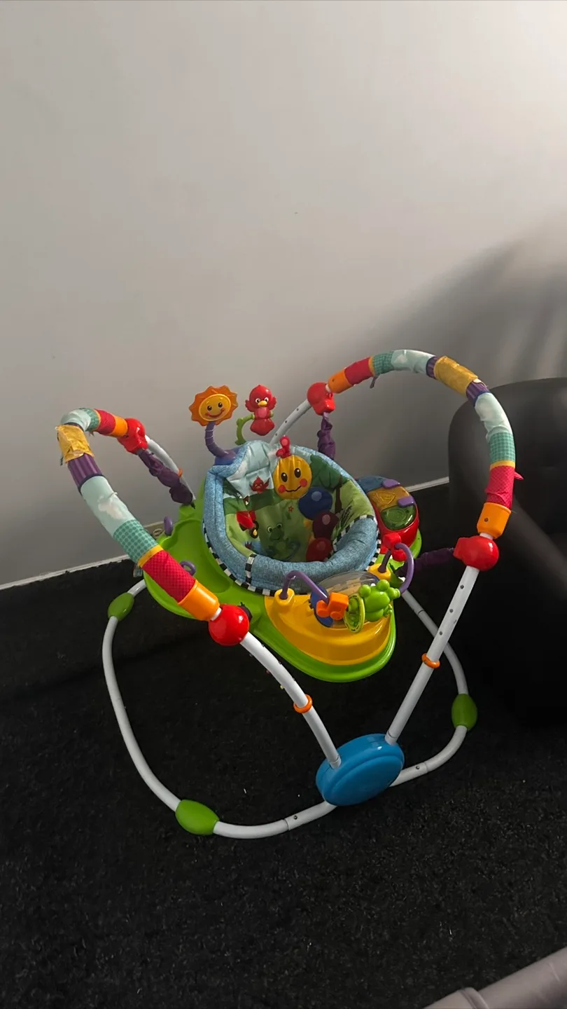 Baby Activity Jumper thumbnail