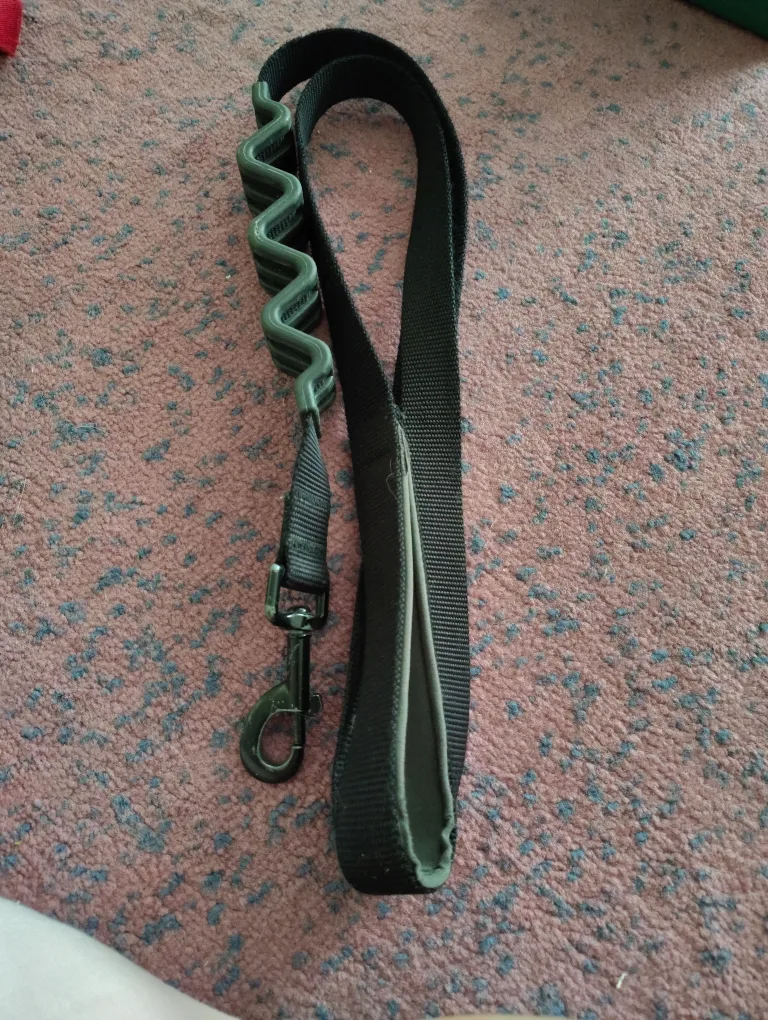 Dog Collars & Leashes image indicator(6)