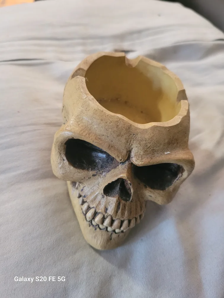 Skull Trinket Box with Dragon Design image indicator(2)