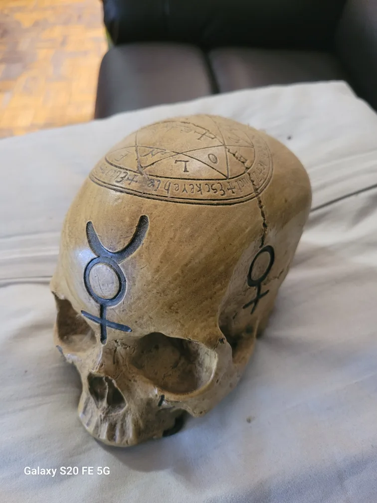 Skull Trinket Box with Dragon Design image indicator(8)