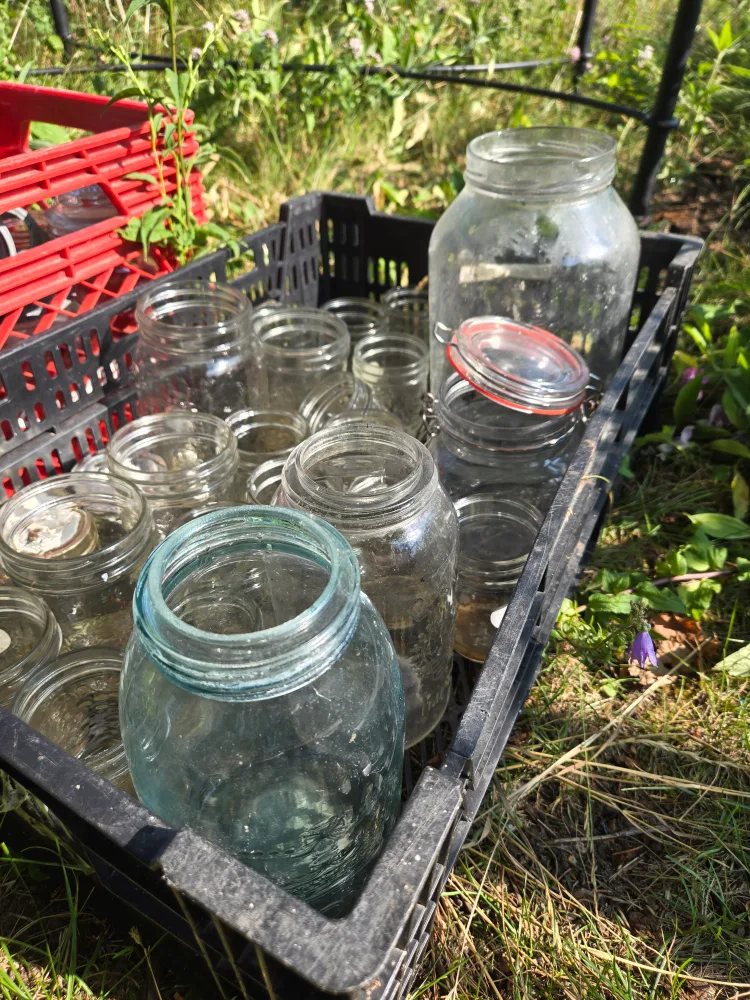 glass jars (pickup Warden Ave and Kingston Rd) thumbnail