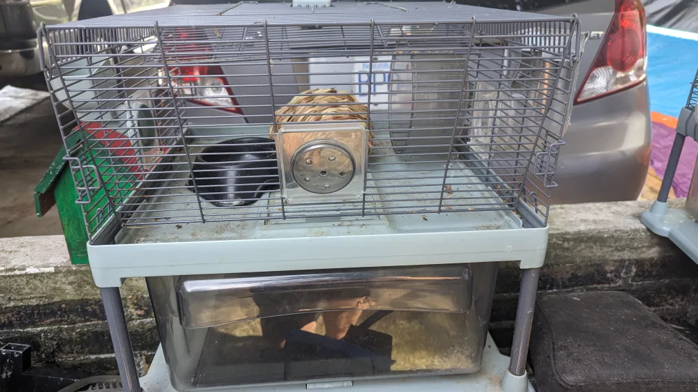 Hamster Cage with Accessories each cage 30.00 thumbnail