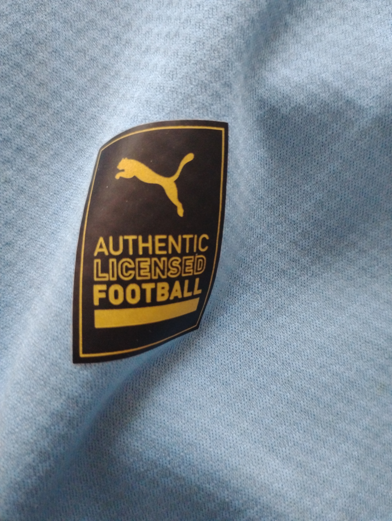 Puma Manchester City Haaland #9 Jersey - photo 3