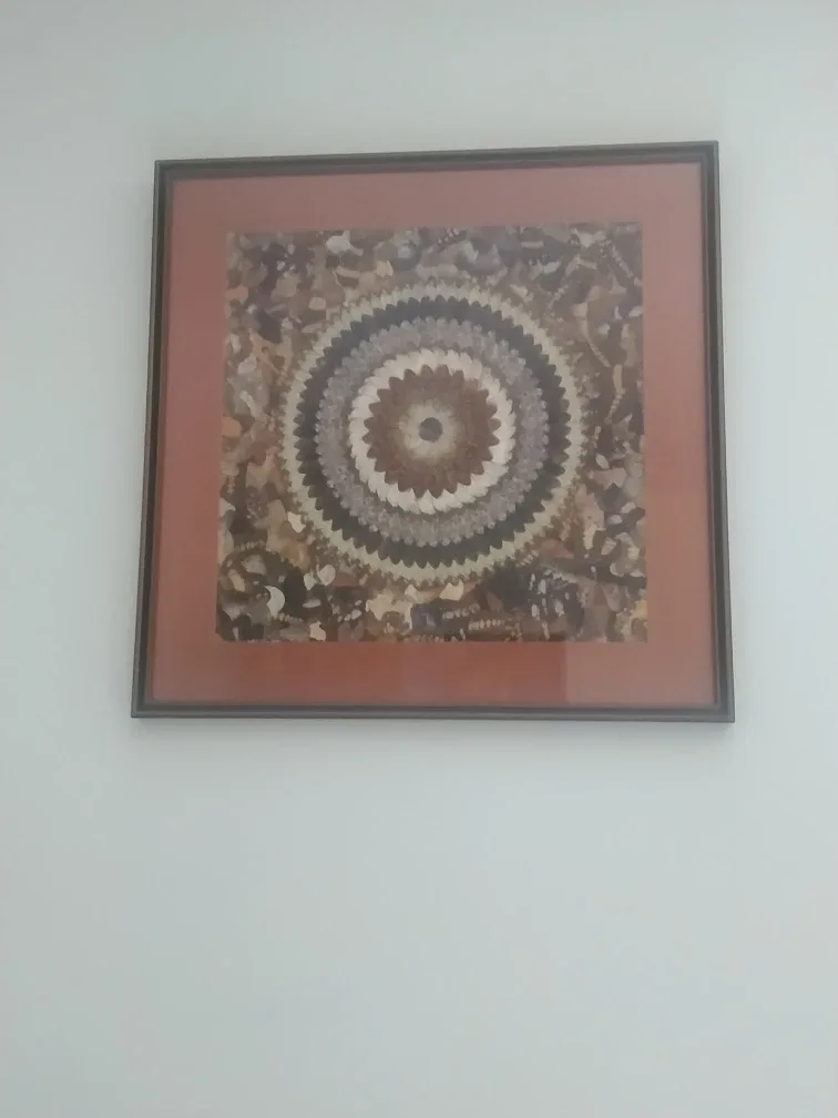 Butterfly Wing Art in Frame thumbnail