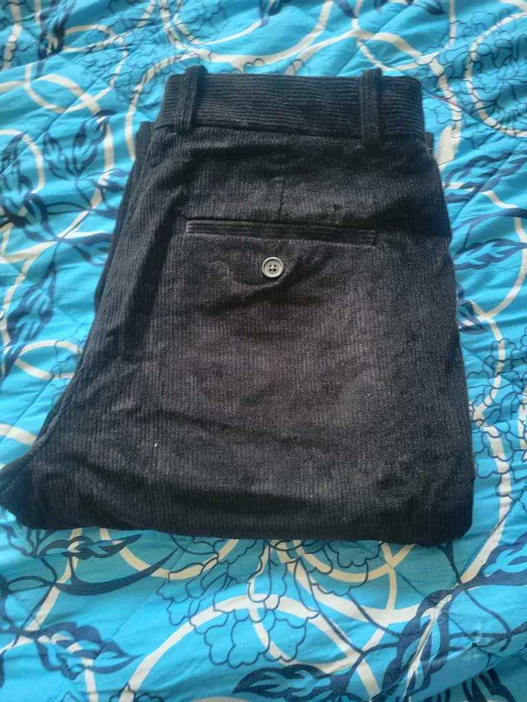 Babaton Quota Corduroy Pants - Size 6 image indicator(4)