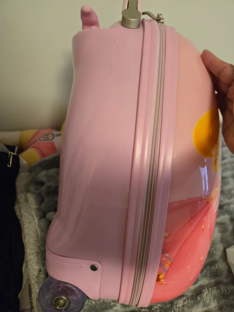 Kids Disney princess luggage image indicator(4)