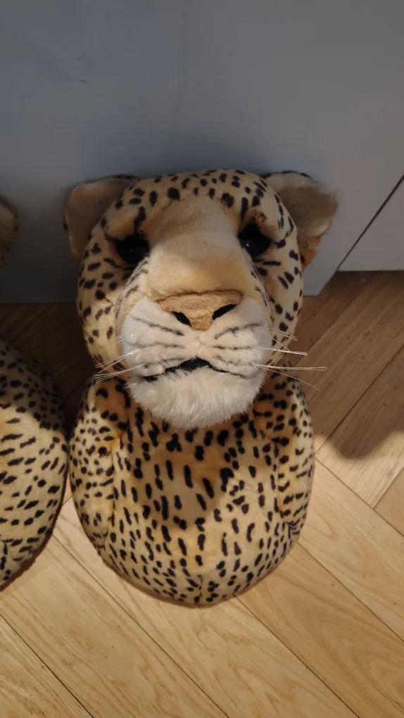 FAO Leopard Head Mount image indicator(2)