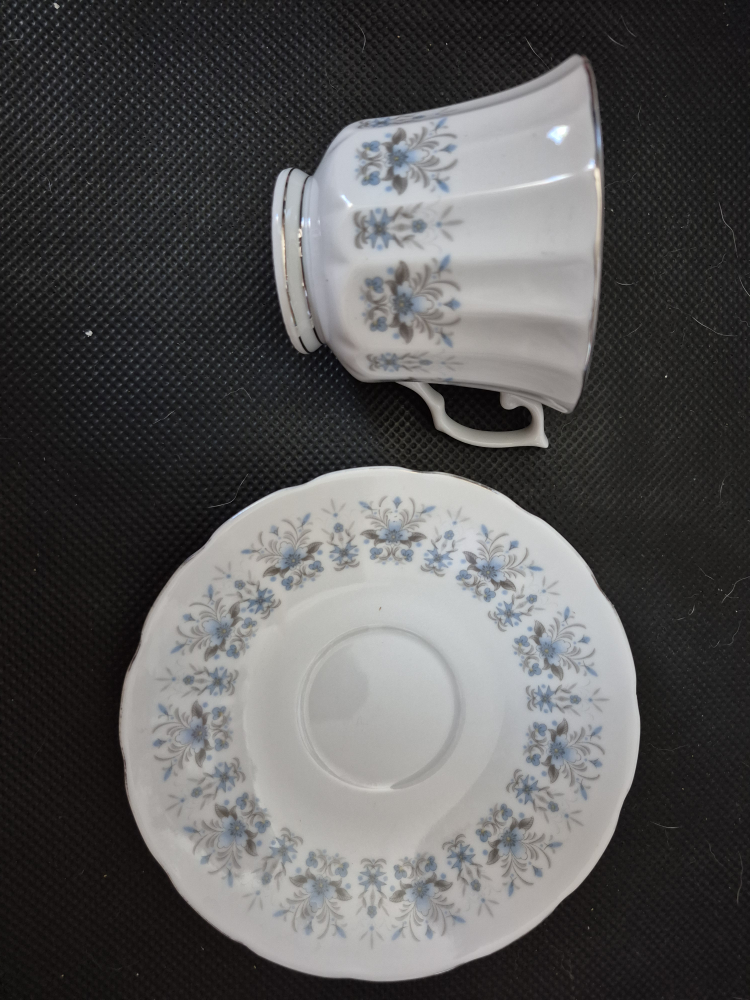 Royal Vale Bone China Tea Cup & Saucer Set